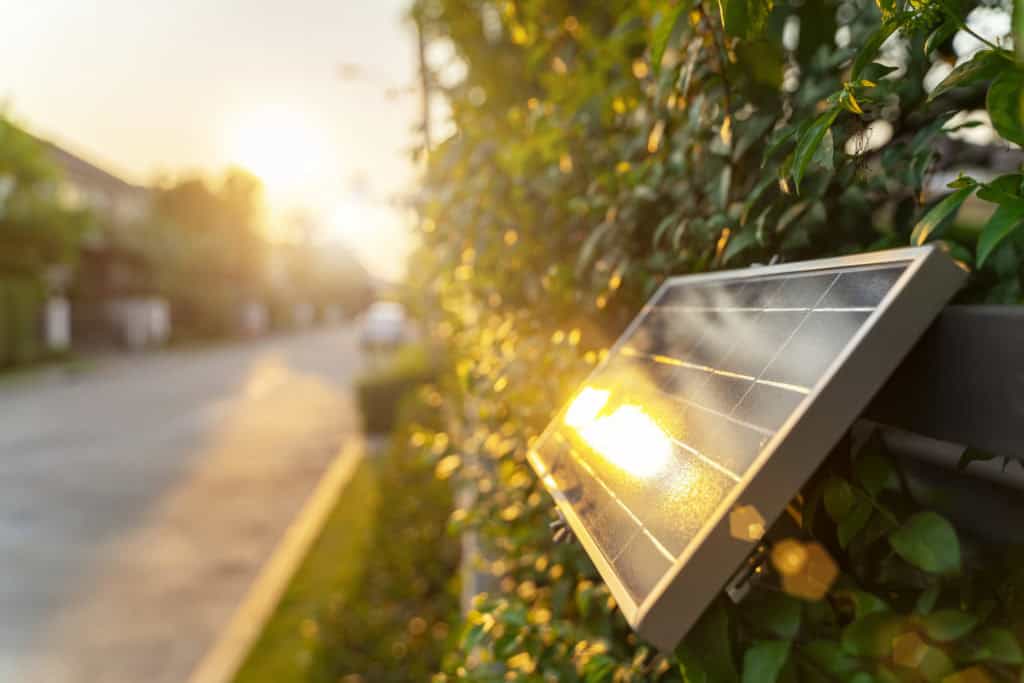 Why Everybody Cares About Spring Solar