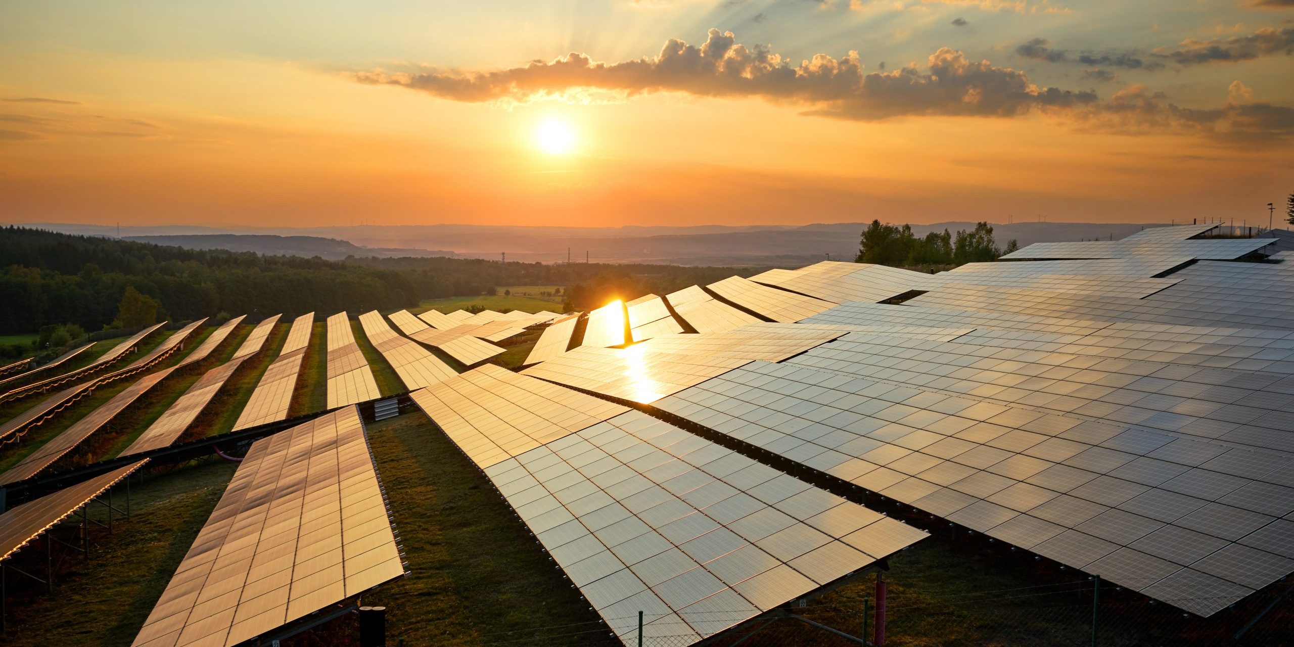 Why Go Solar? Essential Reasons Your Business Should Switch to Solar Power